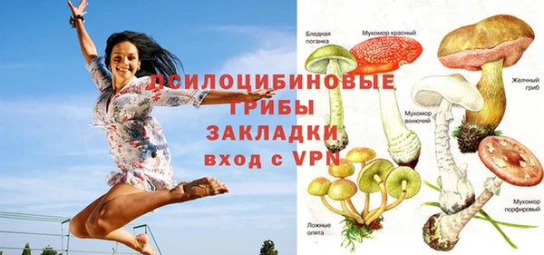 стаф Долгопрудный