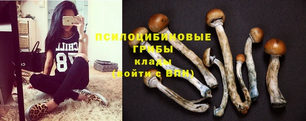 тгк Липки