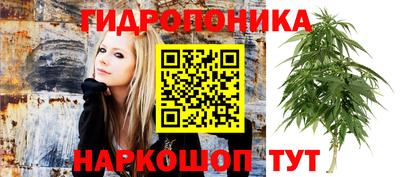 2c-b Заводоуковск