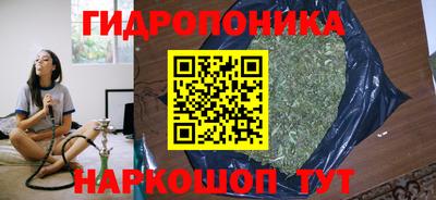 2c-b Заводоуковск