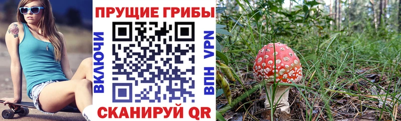 ссылка на мегу ONION цены Феодосия Псилоцибиновые грибы ЛСД